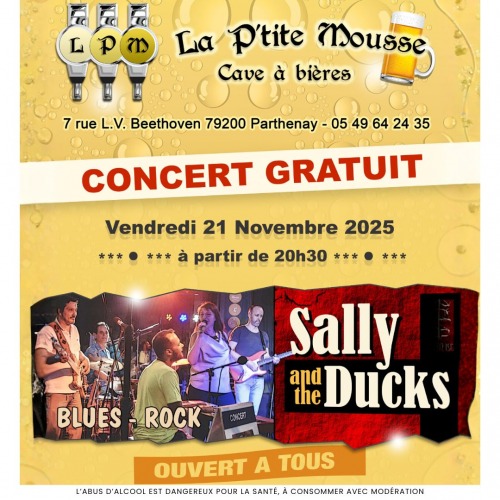SOIRÉE CONCERT SALLY AND THE DUCKS LE 21 NOVEMBRE 2025